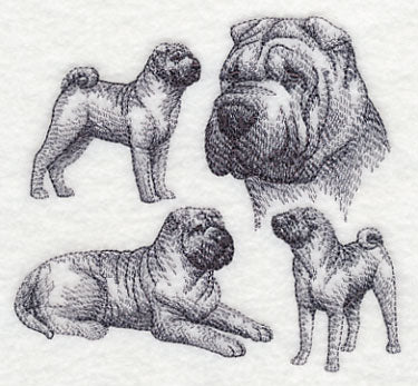 Sharpei Sketch - Image 3