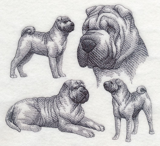 Sharpei Sketch - Image 4
