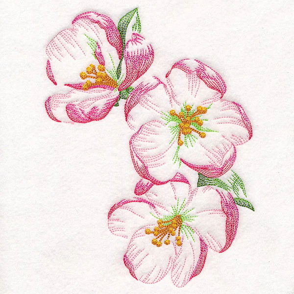 Sheer and Elegant Peony Corner 1 - Image 3