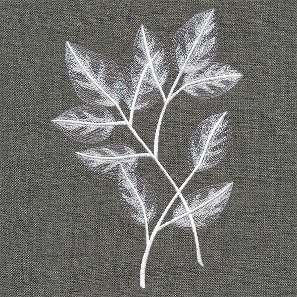 Sheer Beauty Botanicals - Rose Leaves - Image 3