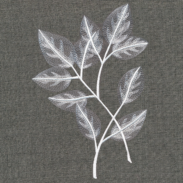 Sheer Beauty Botanicals - Rose Leaves - Image 6