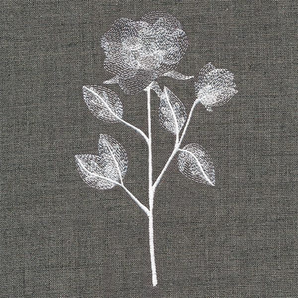 Sheer Beauty Botanicals - Roses - Image 4
