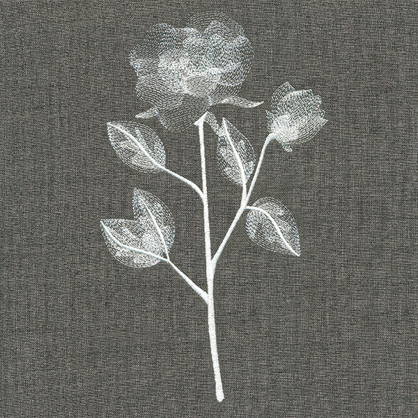 Sheer Beauty Botanicals - Roses - Image 6