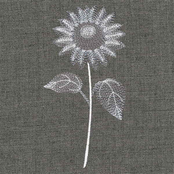 Sheer Beauty Botanicals - Sunflower - Image 4