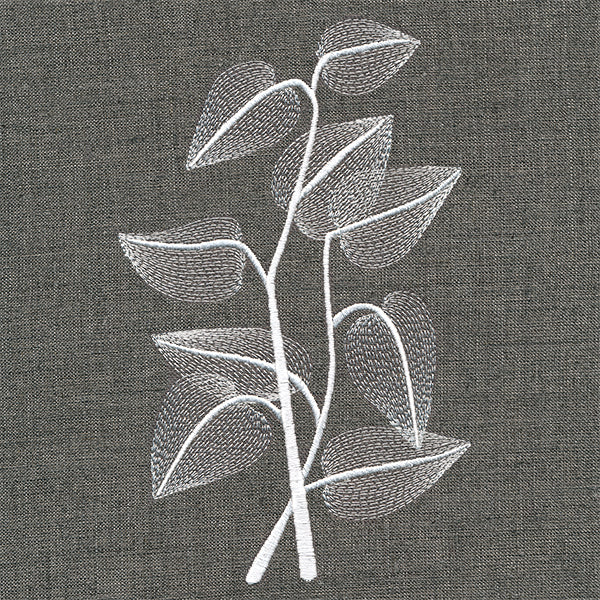 Sheer Beauty Botanicals - Sunflower Leaves - Image 3