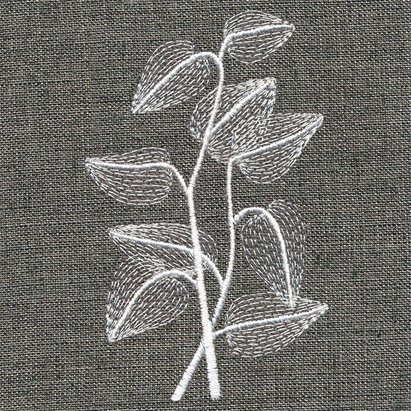Sheer Beauty Botanicals - Sunflower Leaves - Image 5