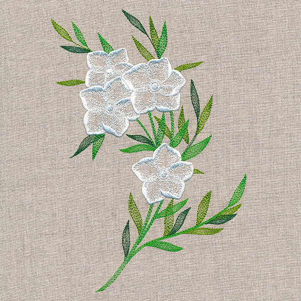 Sheer Dainty Bouquet - Image 3