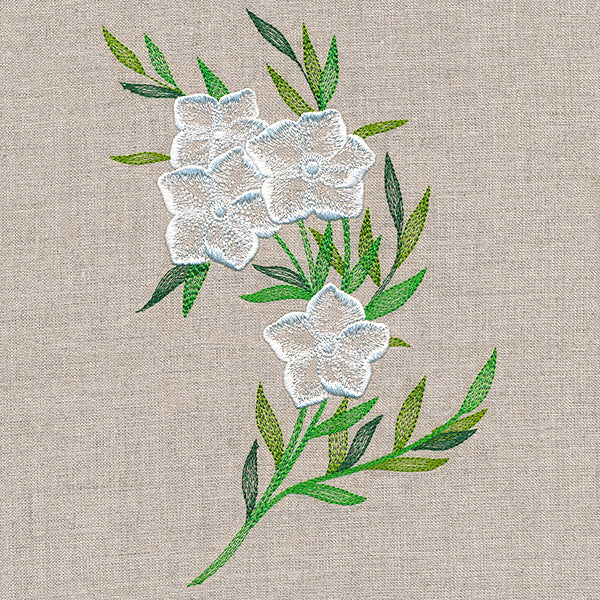 Sheer Dainty Bouquet - Image 5