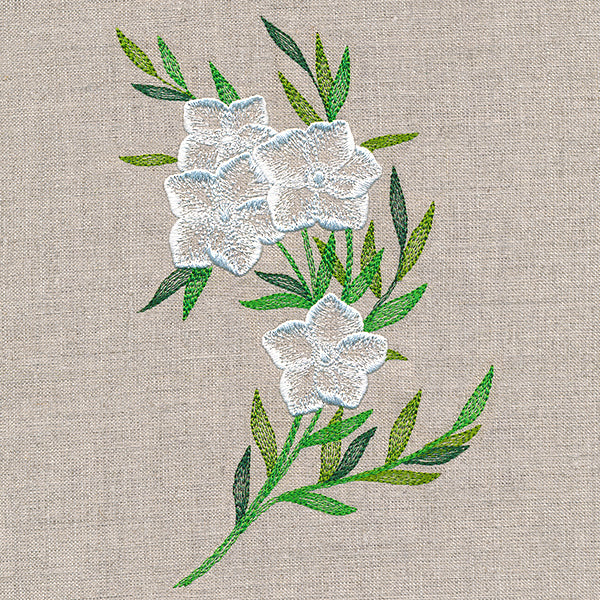 Sheer Dainty Bouquet - Image 7