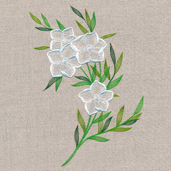 Sheer Dainty Bouquet - Image 9