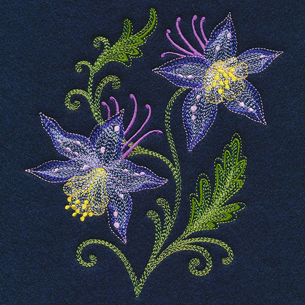 Sheer Magic Columbine - Image 3