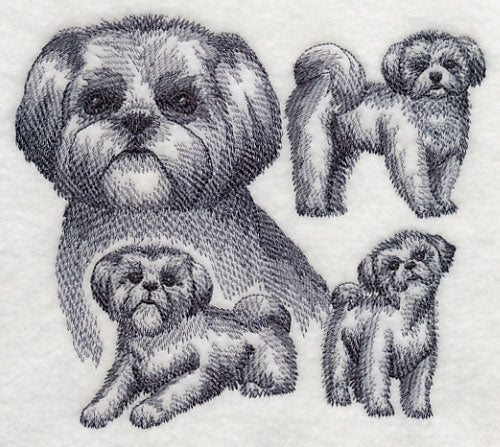 Shih Tzu Sketch - Image 2