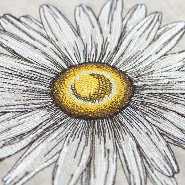 Shining Daisy - Image 2