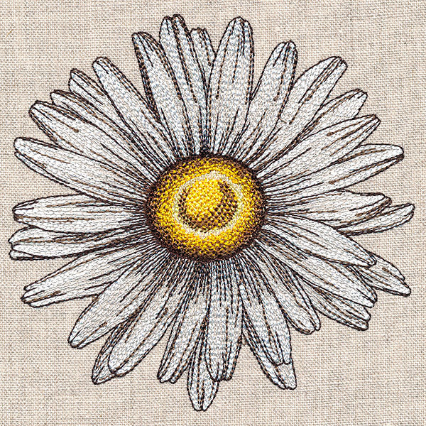 Shining Daisy - Image 7