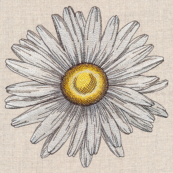 Shining Daisy - Image 9