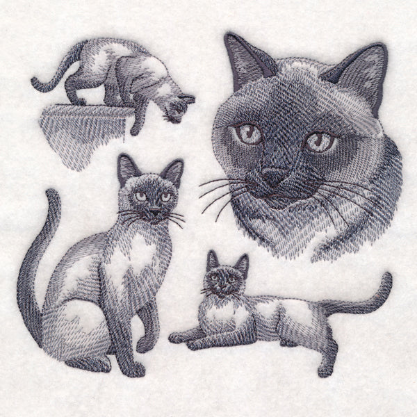 Siamese Cat Sketch - Image 2