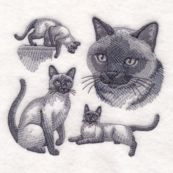 Siamese Cat Sketch - Image 3