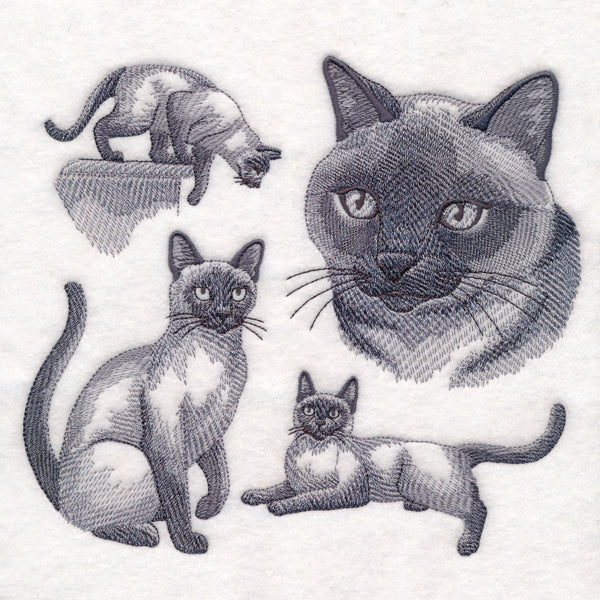 Siamese Cat Sketch - Image 4