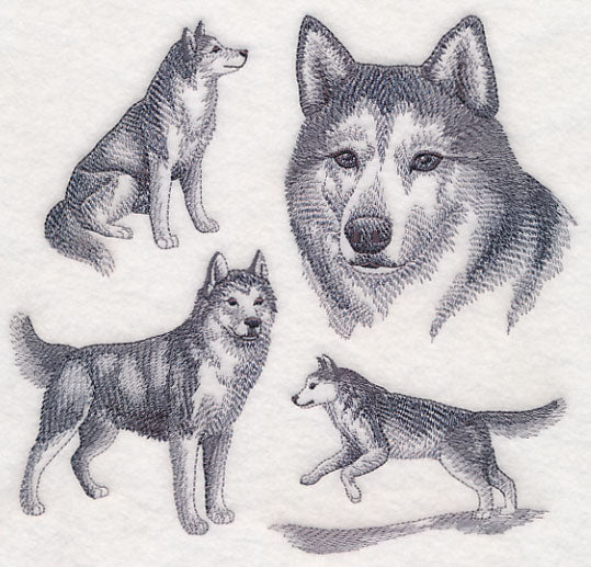 Siberian Husky Sketch - Image 2