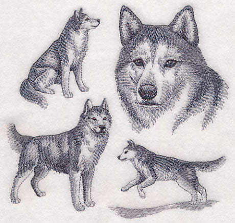 Siberian Husky Sketch - Image 3