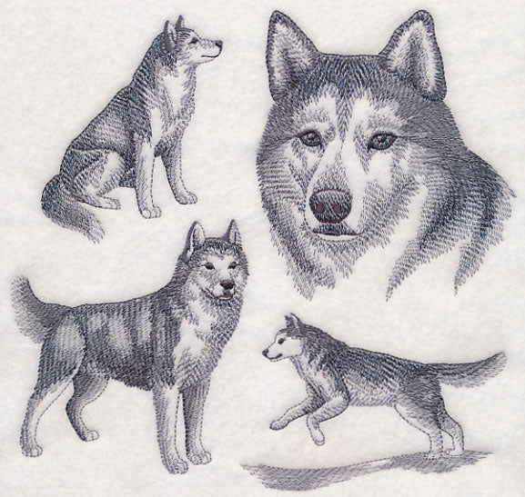Siberian Husky Sketch - Image 5