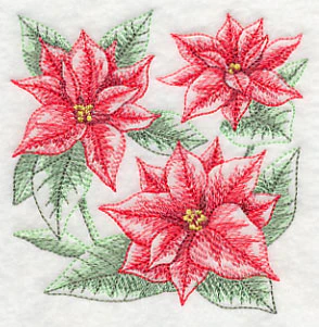 Silent Night Poinsettia Sketch - Image 5