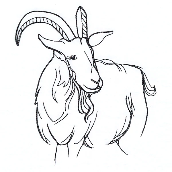 Simple Farm Sketch - Goat - Image 2