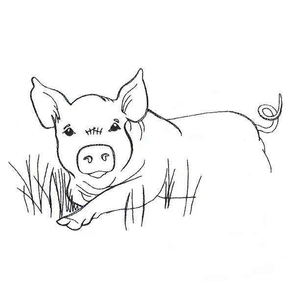 Simple Farm Sketch - Pig - Image 2