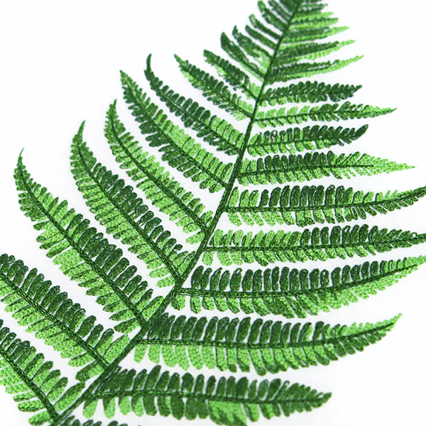 Simple Fern - Image 14