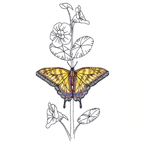 Simple Nasturtium and Tiger Swallowtail - Image 4