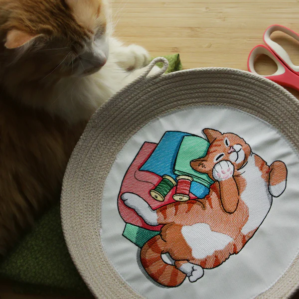 Sleeping on Fabric Kitty - Image 15
