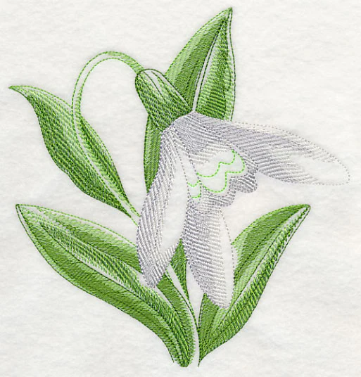 Snowdrop Beauty - Image 2