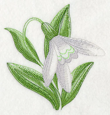 Snowdrop Beauty - Image 4