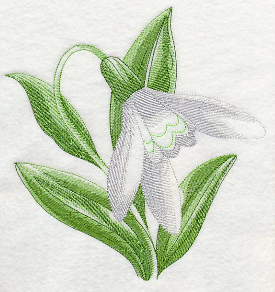 Snowdrop Beauty - Image 6
