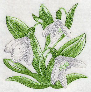 Snowdrops Sketch - Image 5