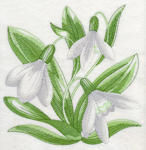 Snowdrops Sketch - Image 6