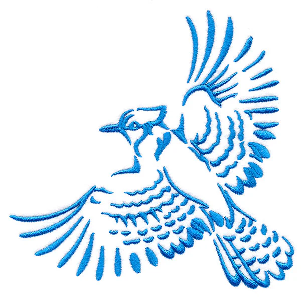 Soaring Blue Jay in Flight - Image 4