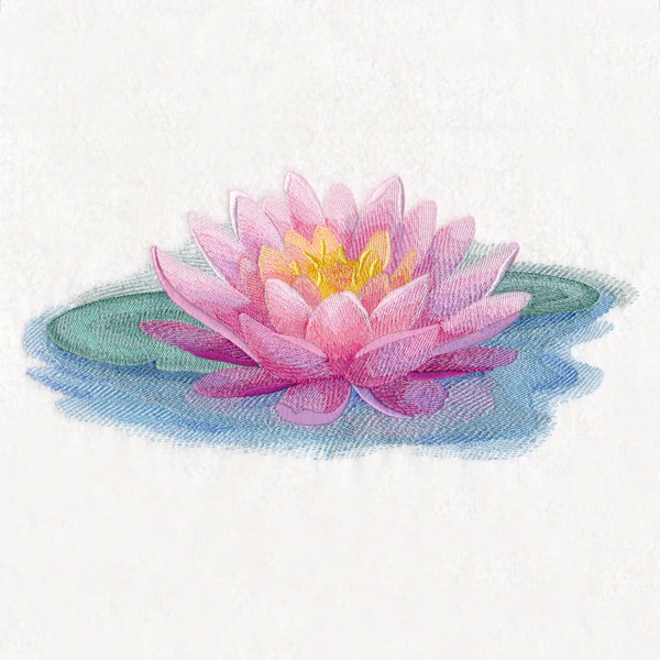 Soft and Serene Water Lily