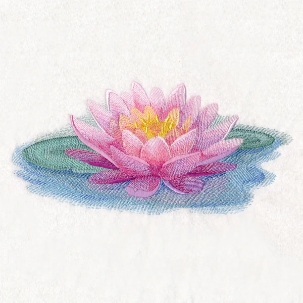 Soft and Serene Water Lily - Image 2