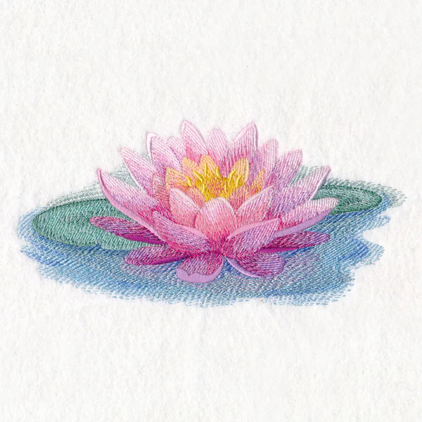 Soft and Serene Water Lily - Image 3