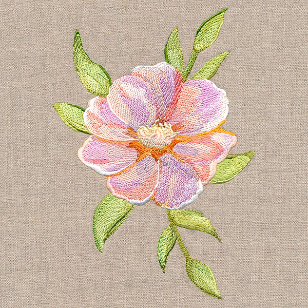 Soft Magnolia Bloom - Image 3
