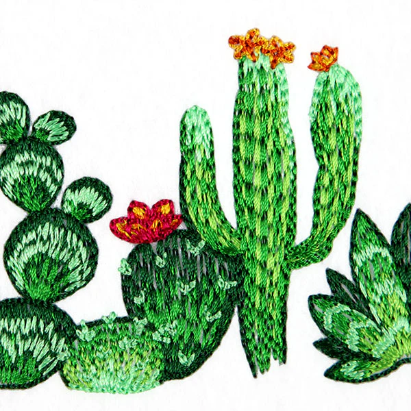 Southwest Cactus Border - Image 2