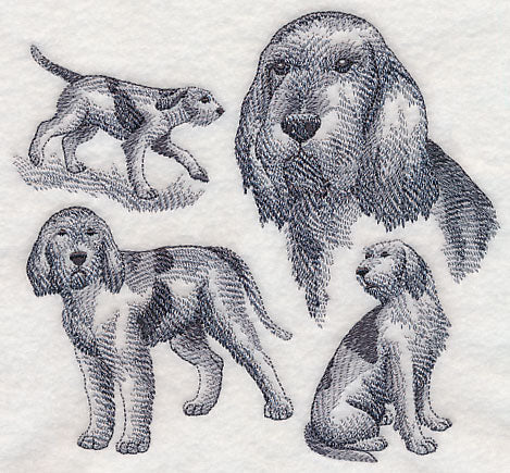 Spinone Italiano Sketch (Full Tail) - Image 2