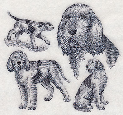 Spinone Italiano Sketch (Full Tail) - Image 3