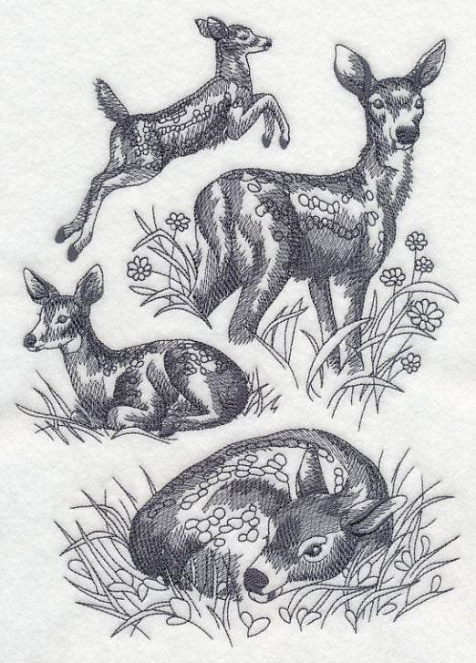 Spring Deer Sketch - Image 4