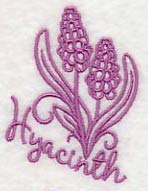 Spring Garden Hyacinth - Image 2