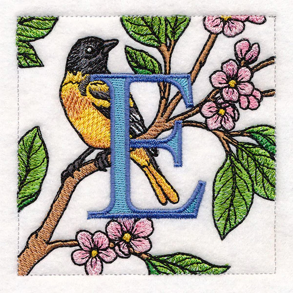 Spring Into Home Bird Squares - E - Image 3
