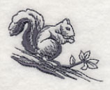 Squirrel Scurry 2 - Image 2