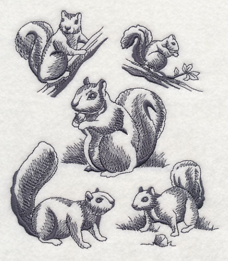 Squirrel Scurry - Image 2