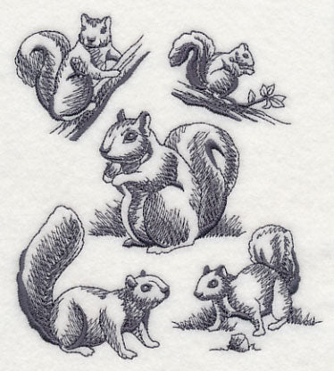 Squirrel Scurry - Image 3